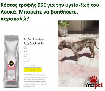 Ράτσα: Άλλη Ράτσα | Ηλικία: 3 ετών | Φύλο: Αρσενικό | Αρ. Microchip: 981022212121212 | Περιοχή: Αττική